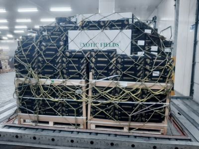 secure perishable protection uae